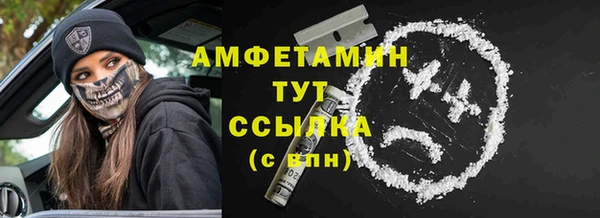 a pvp Горняк