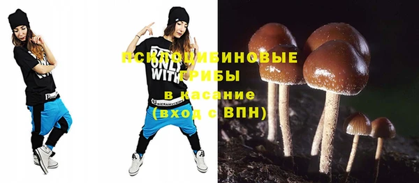 a pvp Горняк